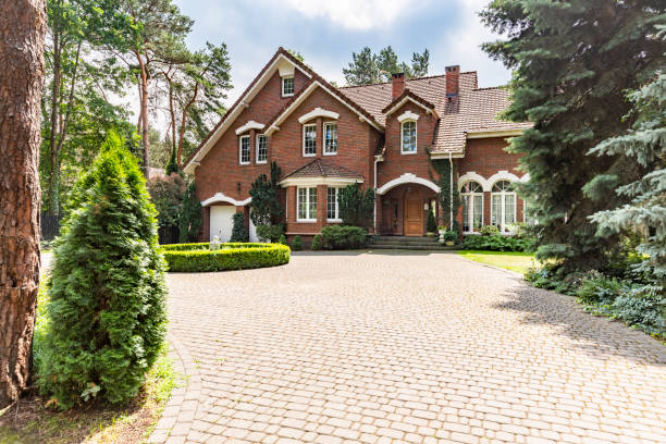 Best Driveway Paving Contractor  in West Wendover, NV